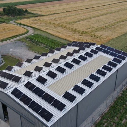 Systemy na dach płaski