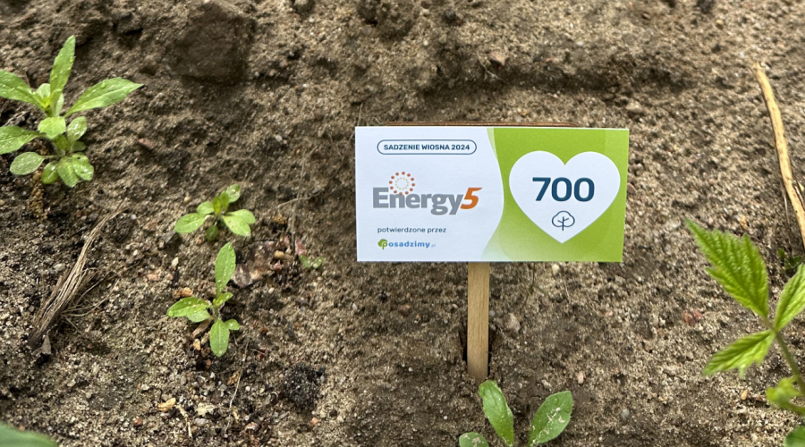 Spółka Energy5 posadziła już 1 400 drzew!